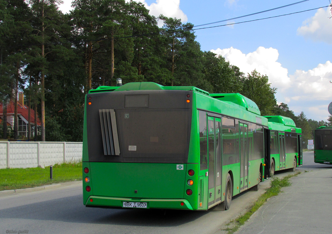 маз 203F65, автобус маз 203F65