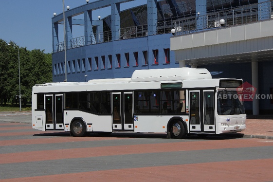 МАЗ 103965, автобус МАЗ 103965