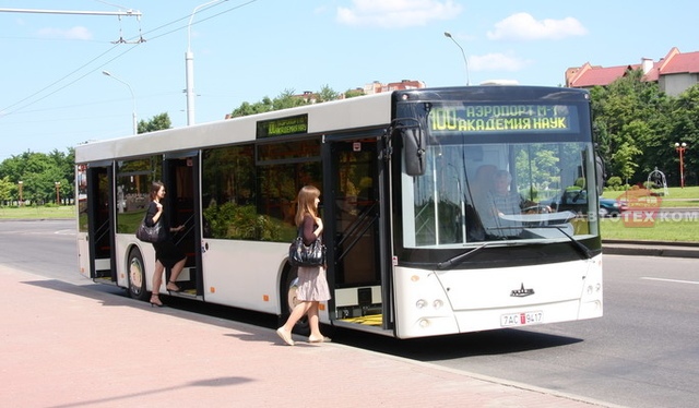 МАЗ 203015, автобус МАЗ 203015