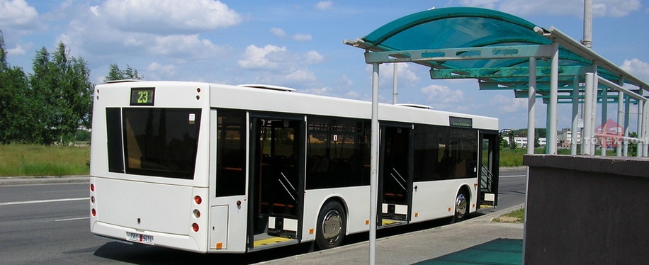 МАЗ 203169, автобус МАЗ 203169