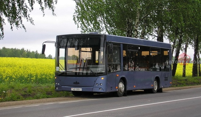 МАЗ 206015, автобус МАЗ 206015
