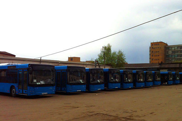 АО АВТОТЕХКОМ завершил поставку автобусов МАЗ для частных перевозчиков г. Москвы